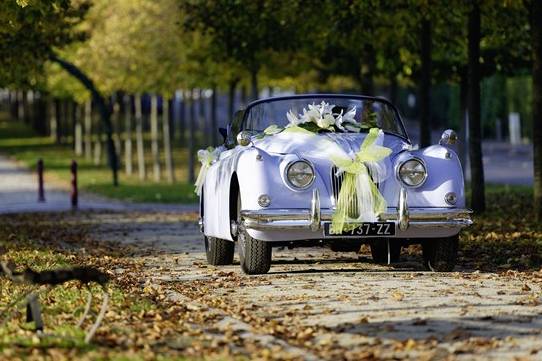 Décoration de voiture