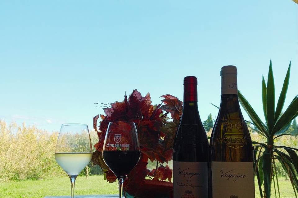 Domaine de Chantegut