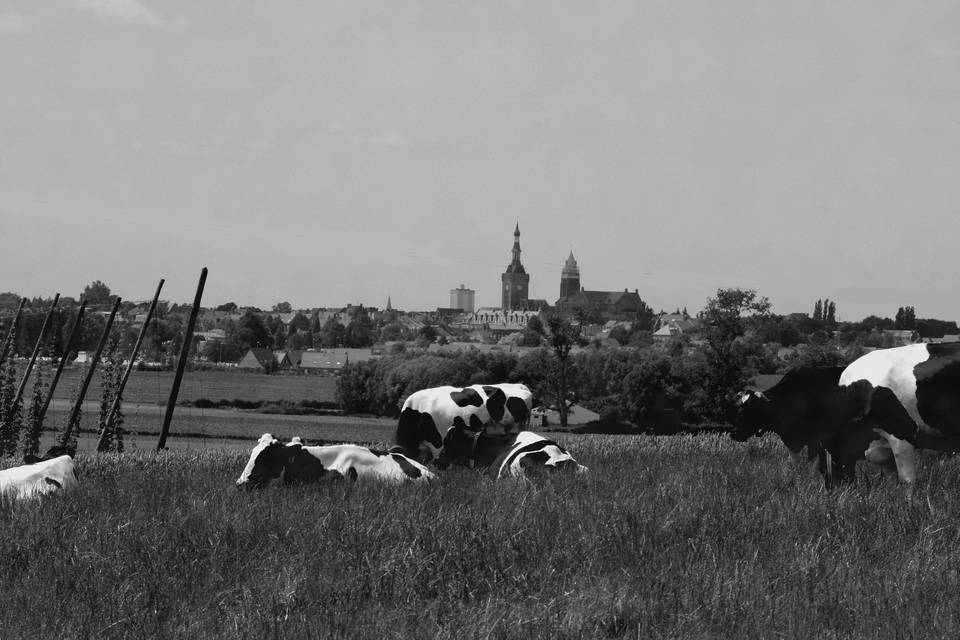 La Ferme Beck