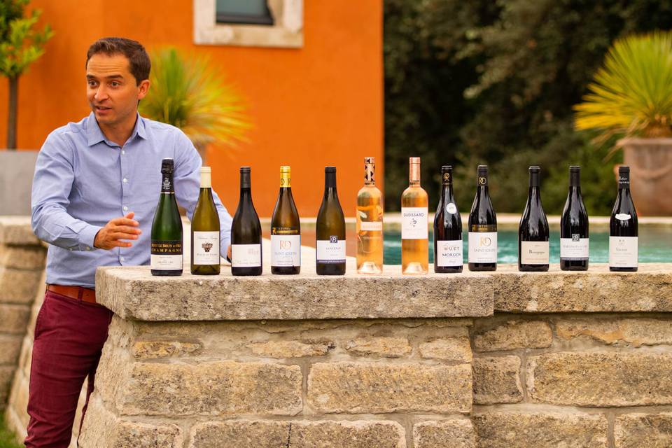 Romain Fabre Selection