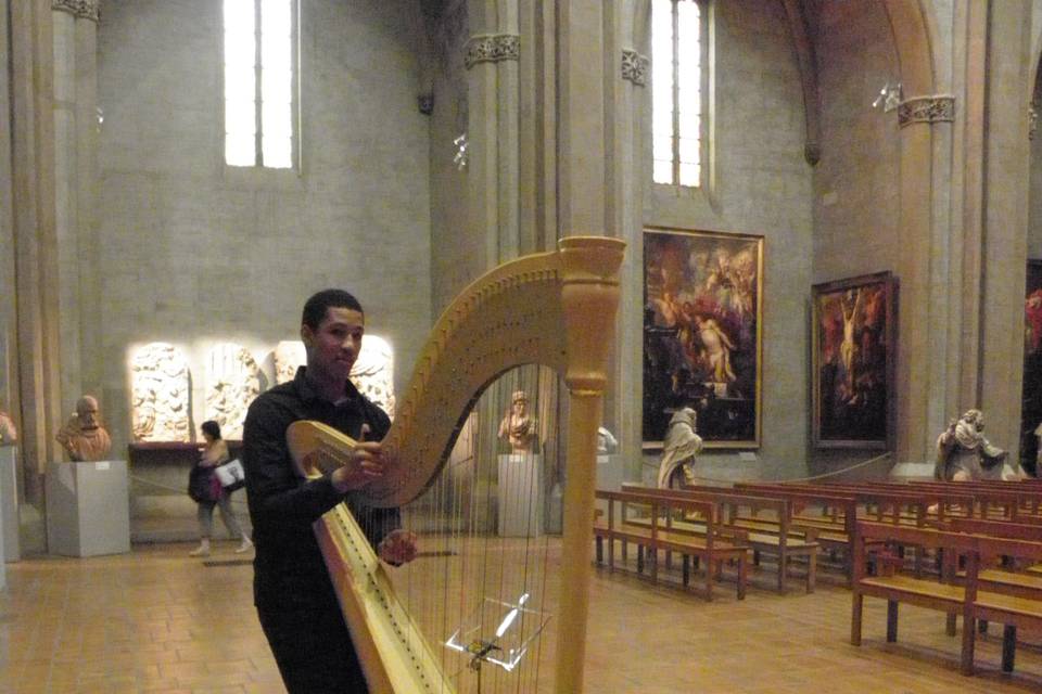 HarpeSam