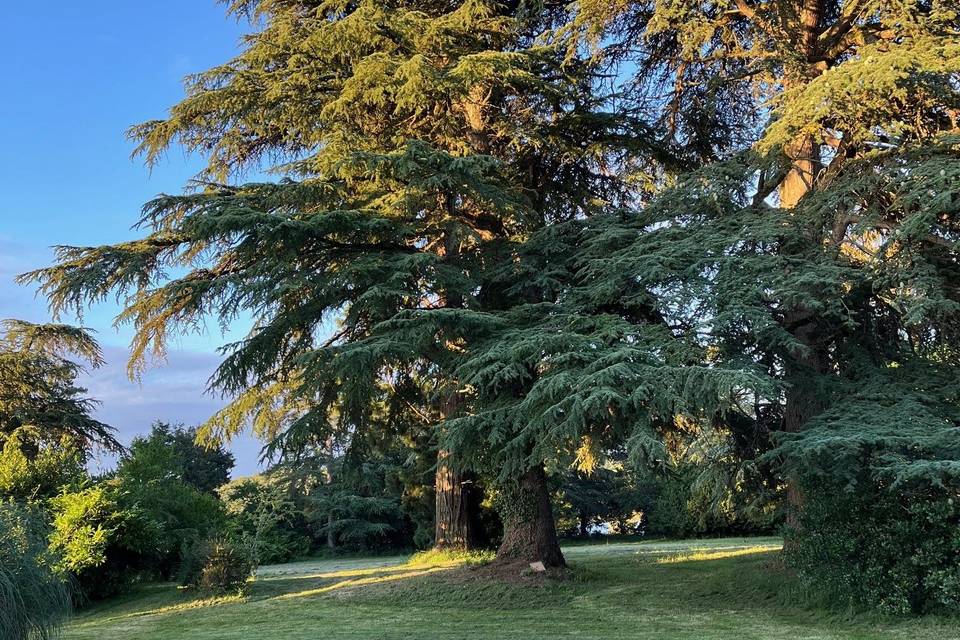 Un des parc arboré