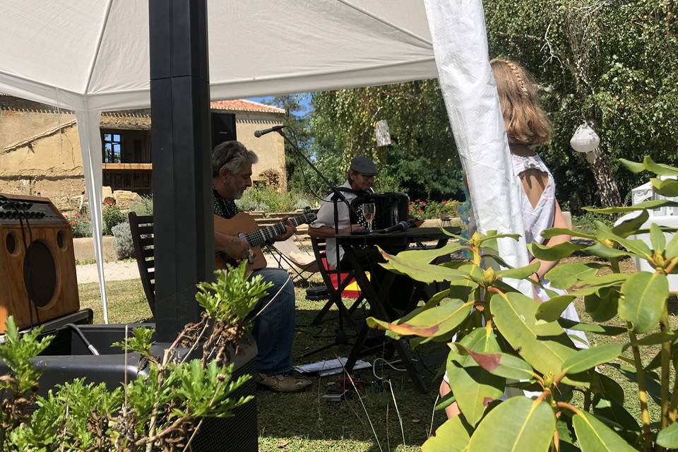 Musiciens mariage