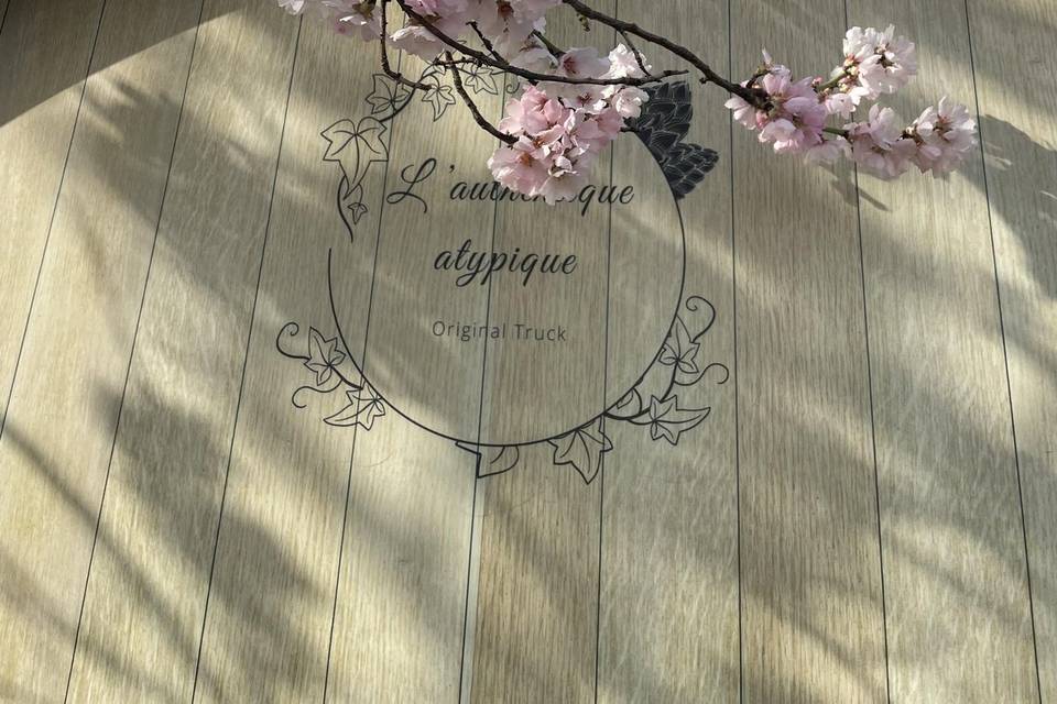 Les Amandiers en fleurs