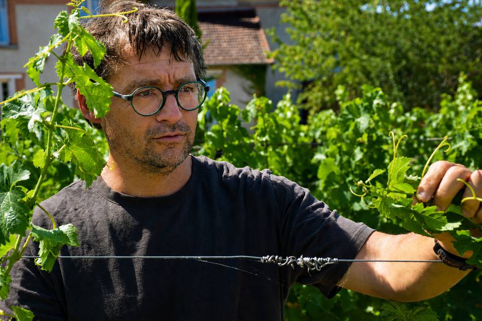 Vincent - Directeur de la Cave