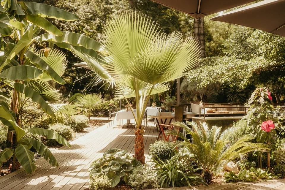 Jardin en été