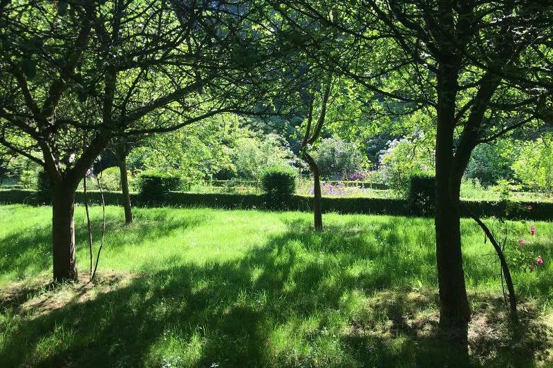 Jardin du bois depuis verger