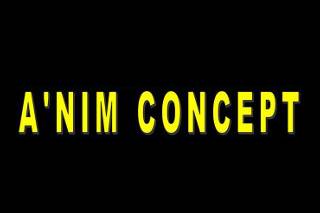 A'nim concept logo
