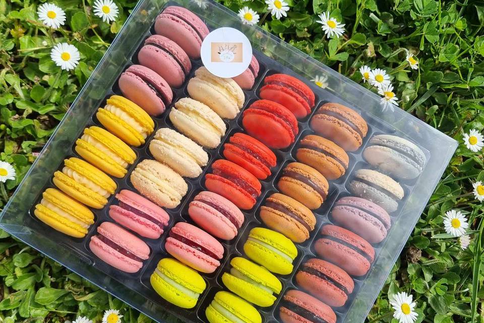 Macarons