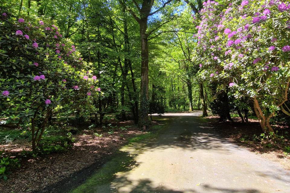 Vue Bois de Guillérien