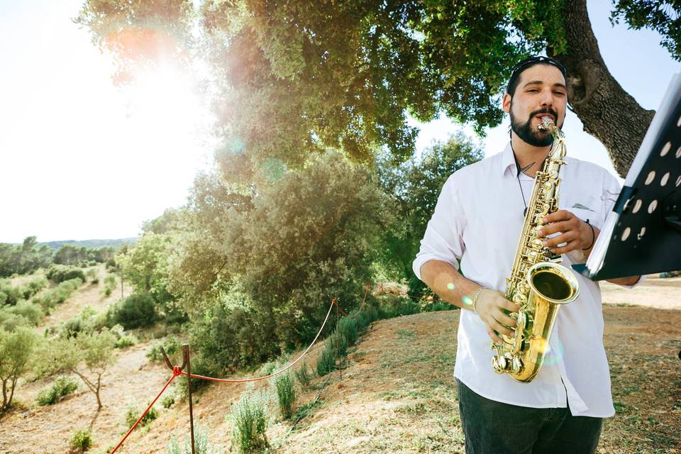 Saxo live
