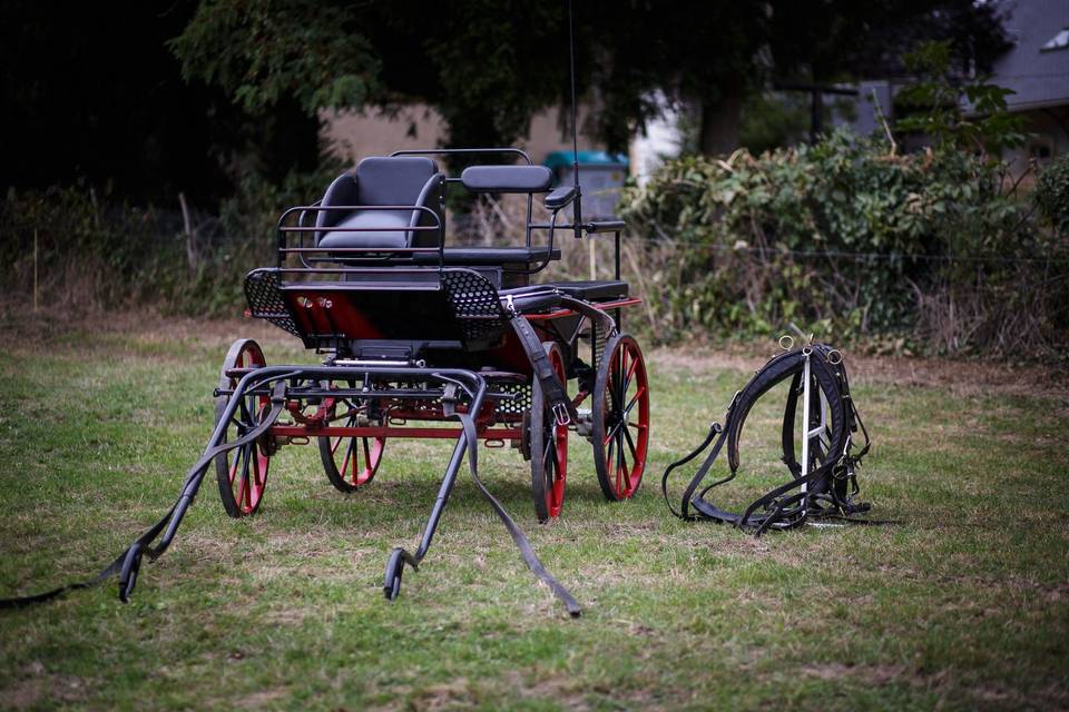 Voiture à cheval