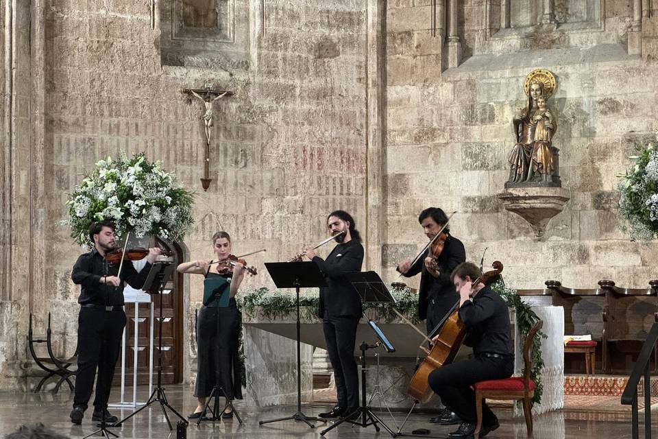 Musicâme France