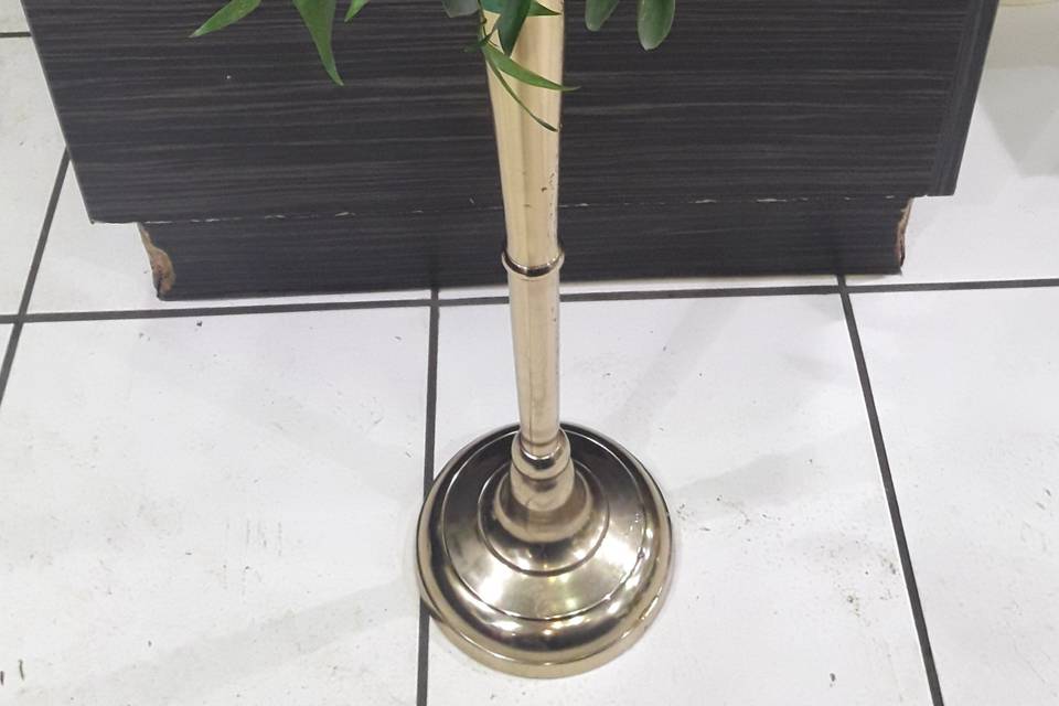 Acacia