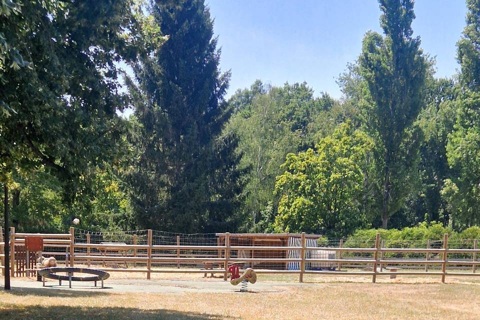 Bouc mini-ferme