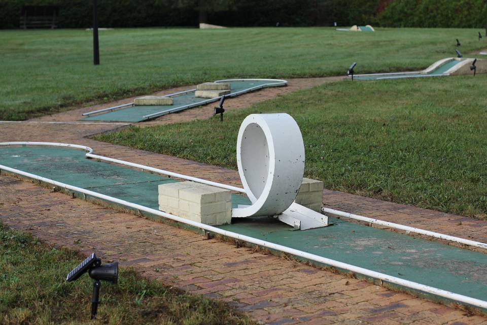 Mini-golf