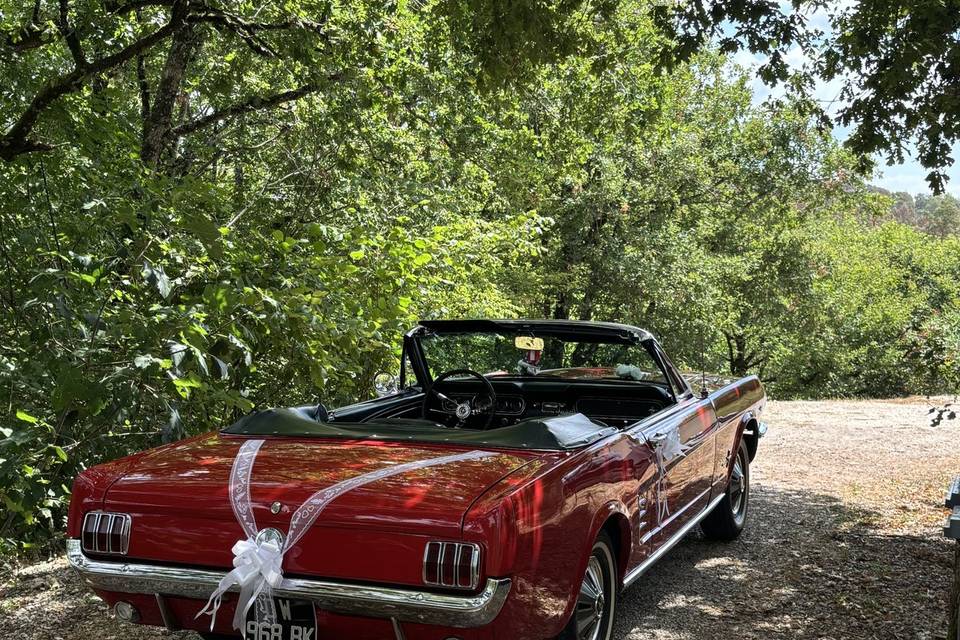 MUSTANG CABRIOLET 66 V8