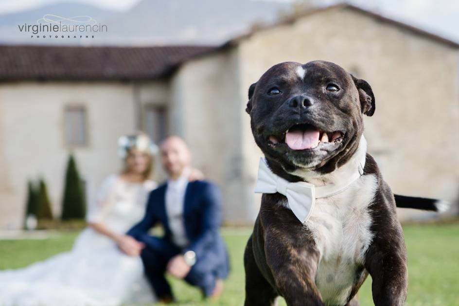 Mariés avec leur chien