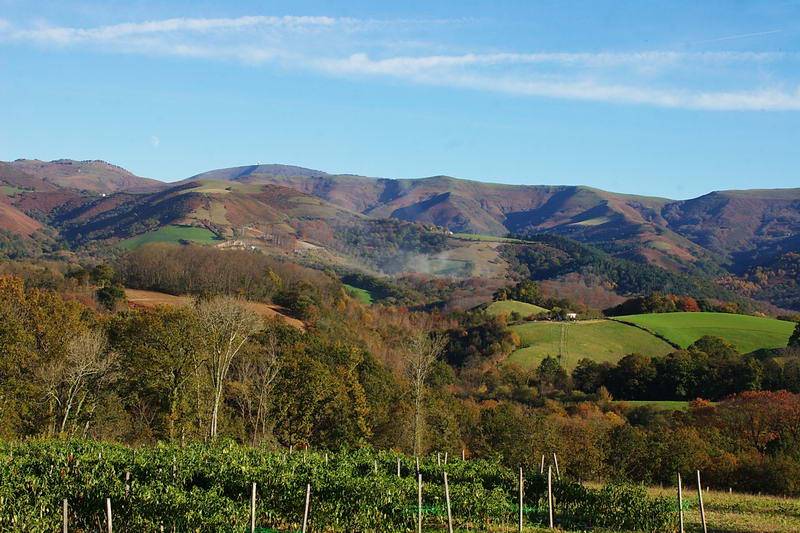 Vue panoramique