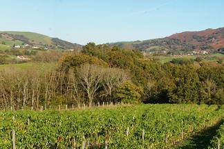 La Ferme Aux Piments