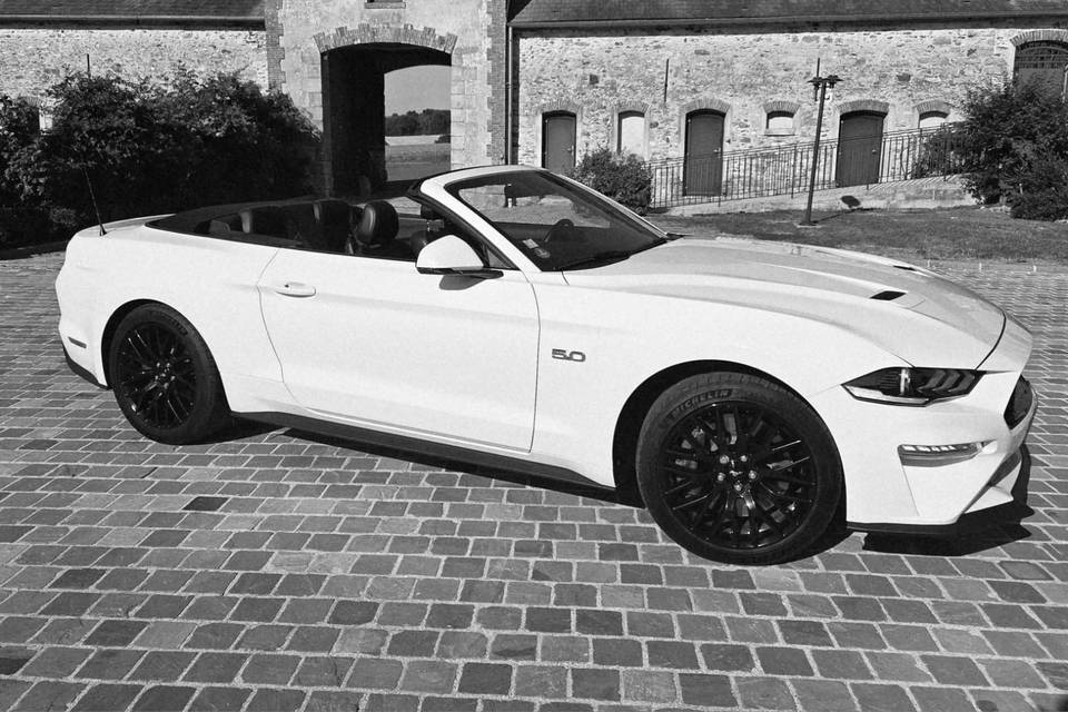 Mustang