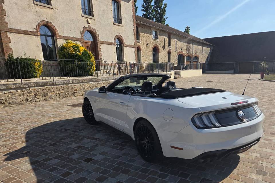 Mustang
