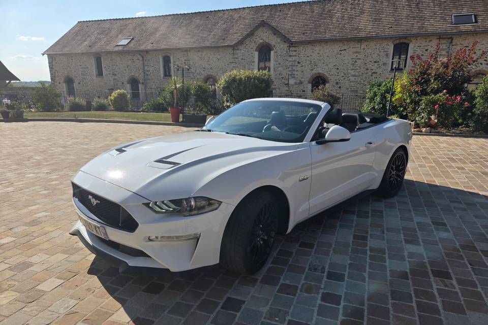 Mustang