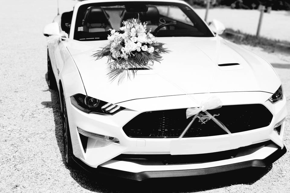 Mustang