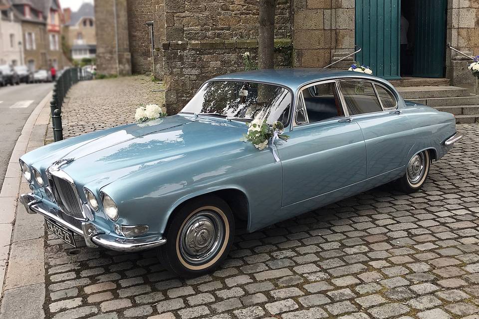Jaguar Opalescent