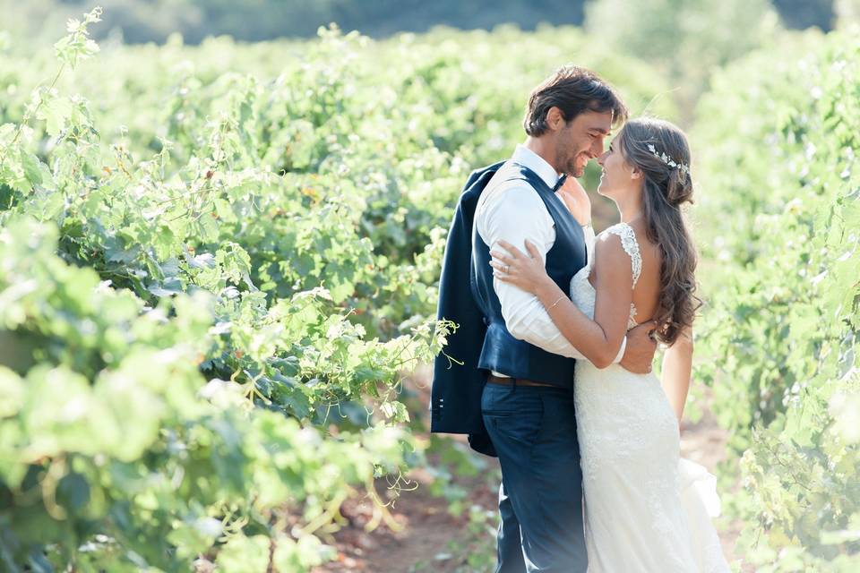 Dans les vignes de provence