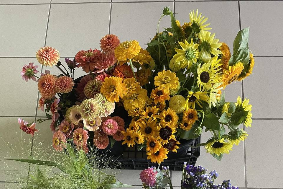 Seaux de fleurs