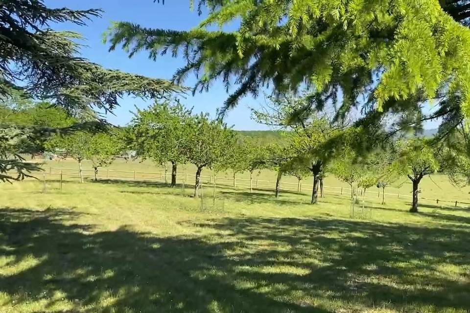Le Parc