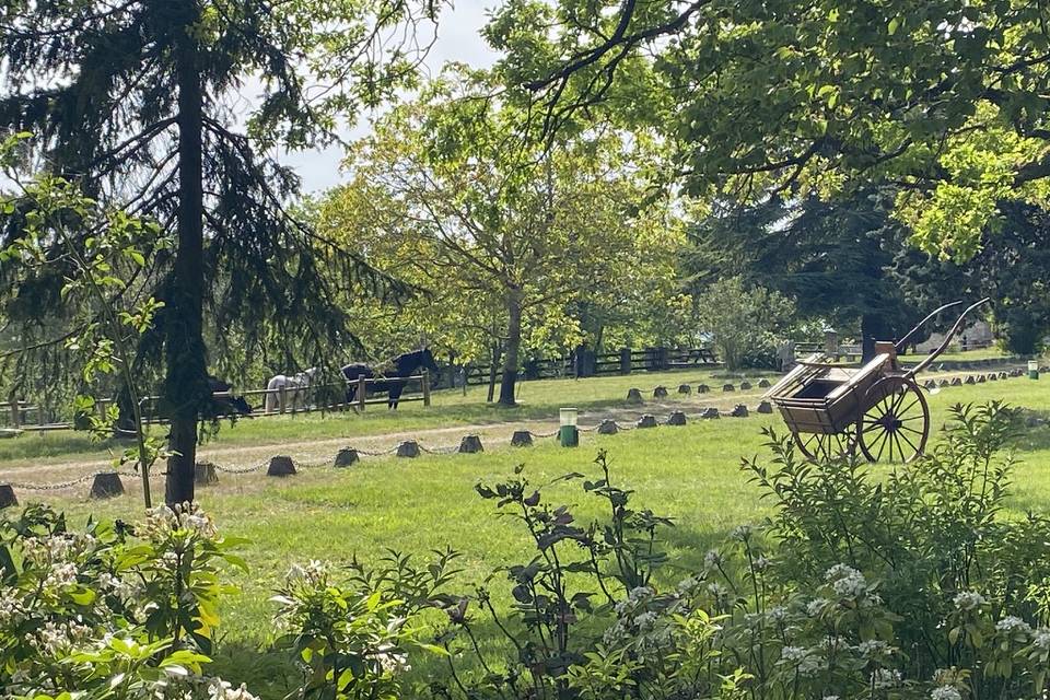 Le Parc