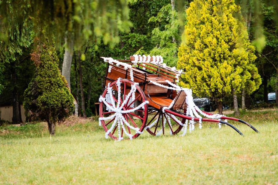 La calèche du parc décorée