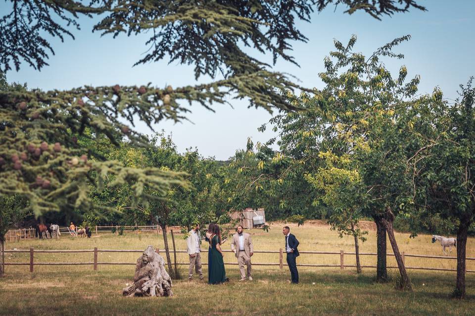Le parc et le pré aux chevaux