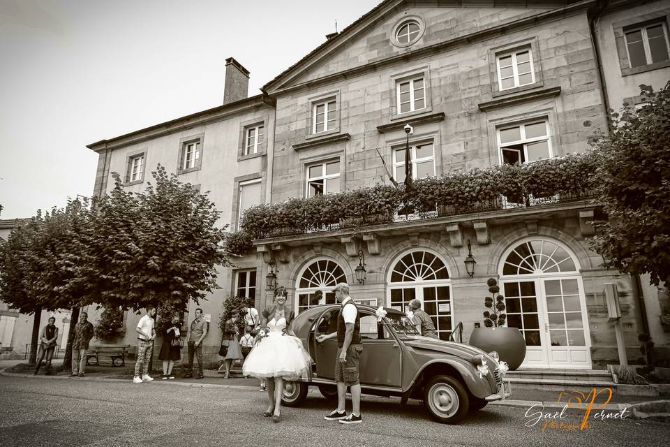 Photographe professionnel & sp