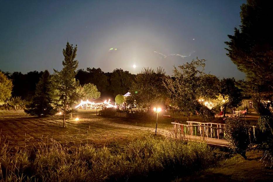 Le domaine