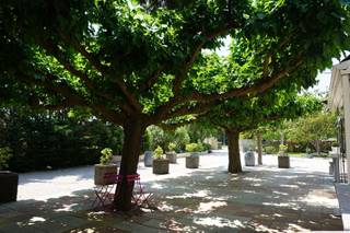 Mas des Garrigues