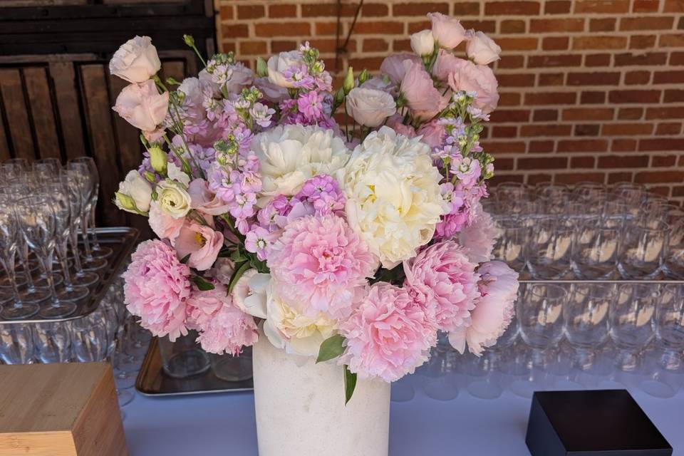 Pivoines