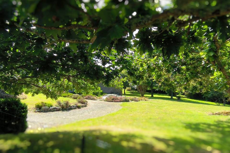 Déjeuner champêtre, jardin sud