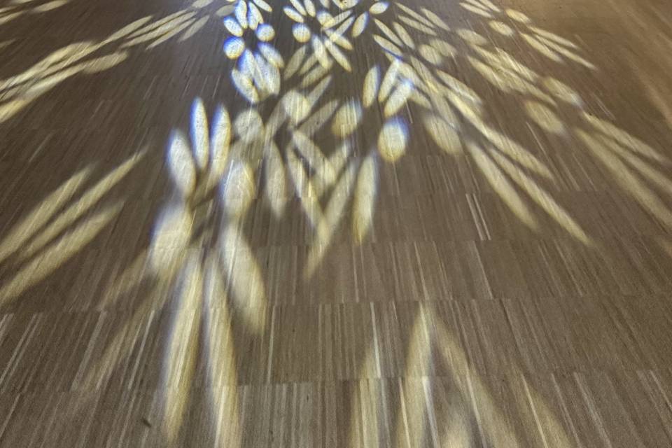 Mise en Lumière