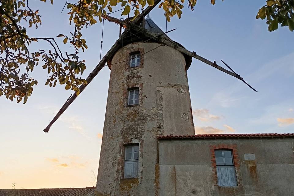 Moulin