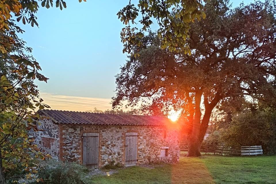 Levé de soleil