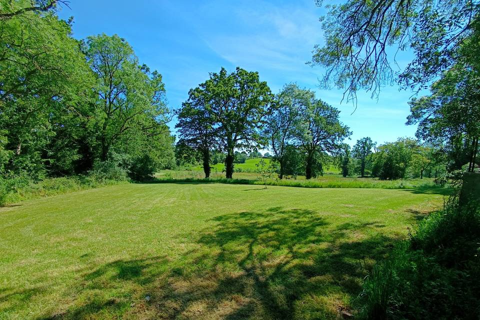 Terrain