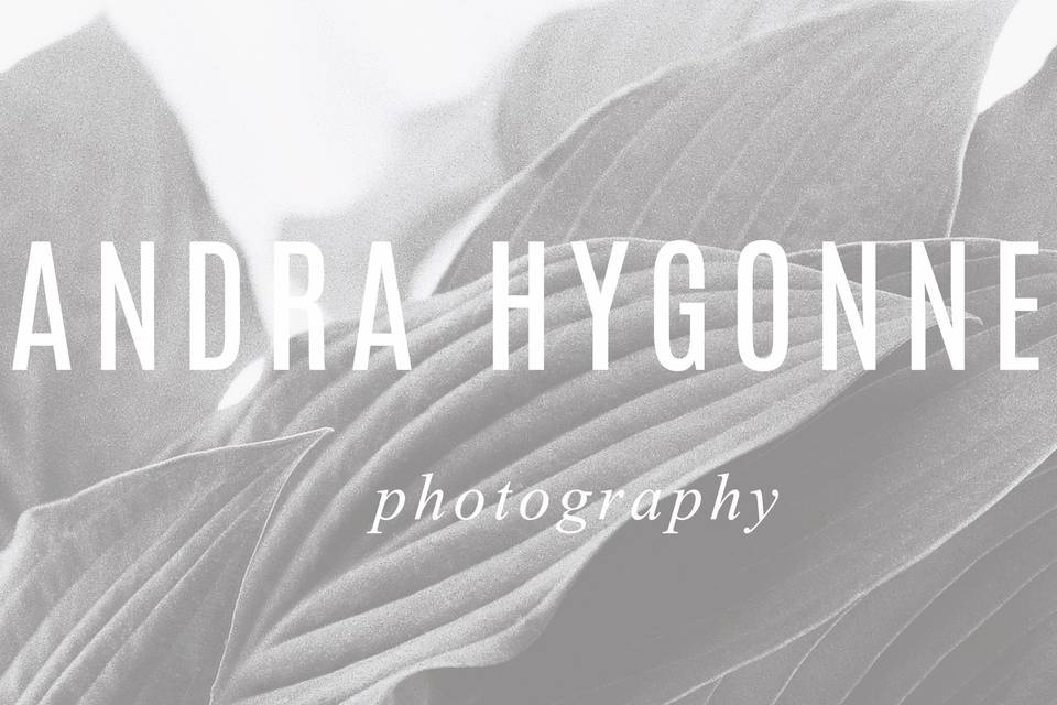 Sandra Hygonnenc Photography