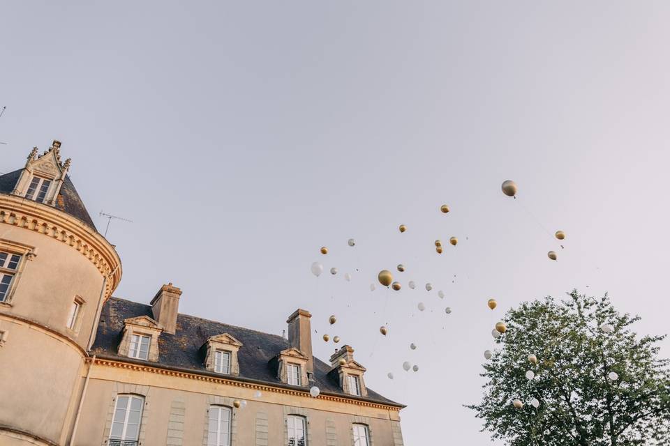 Château de Boisgelin