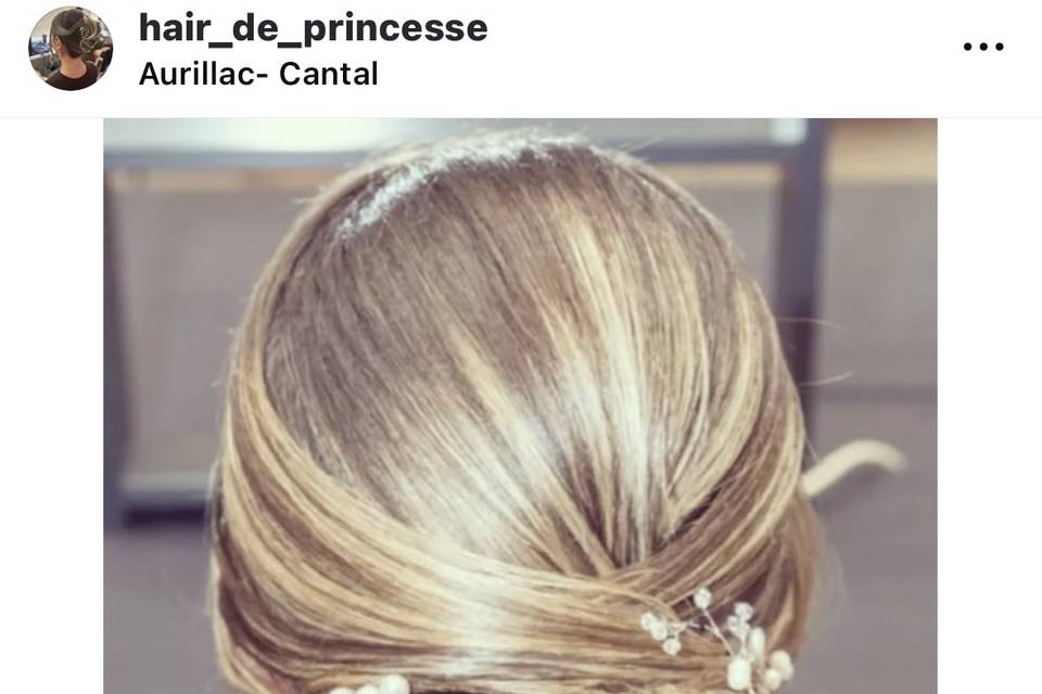 Chignon chic