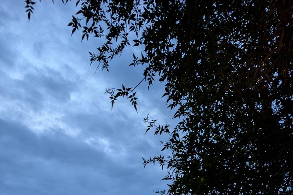 Domaine la nuit