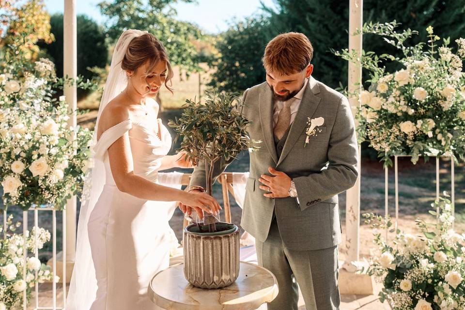 Alicia Wedding Planner