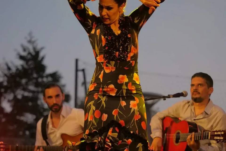 Danseuse flamenco mariage